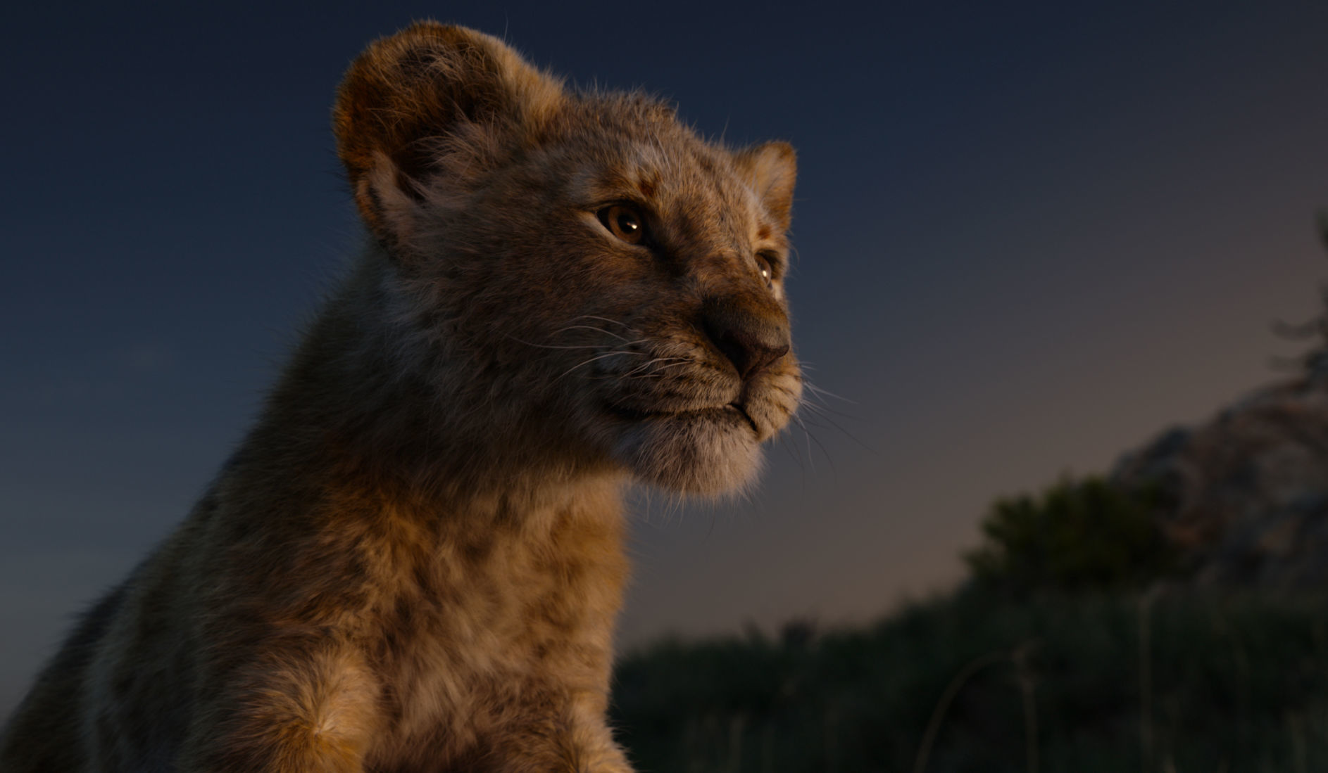 The Lion King